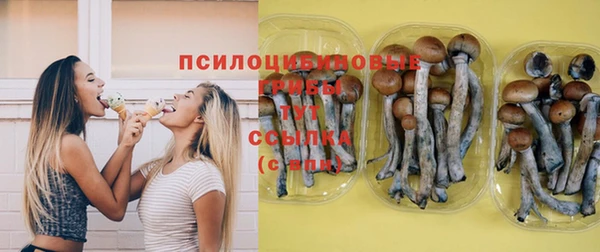 стафф Вяземский